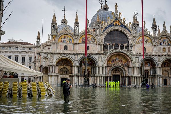 This Week in Pictures: 16-22 November This Week in Pictures: 16-22 November - Sputnik International