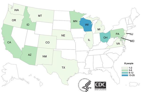 E. Coli Outbreak on Romaine Lettuce Has Spread to 19 US States, Affected 67 - CDC - Sputnik International