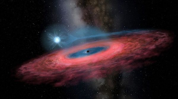 Researchers Spot Clear Evidence of Stars Being Devoured by Black Holes Researchers Spot Clear Evidence of Stars Being Devoured by Black Holes - Sputnik International