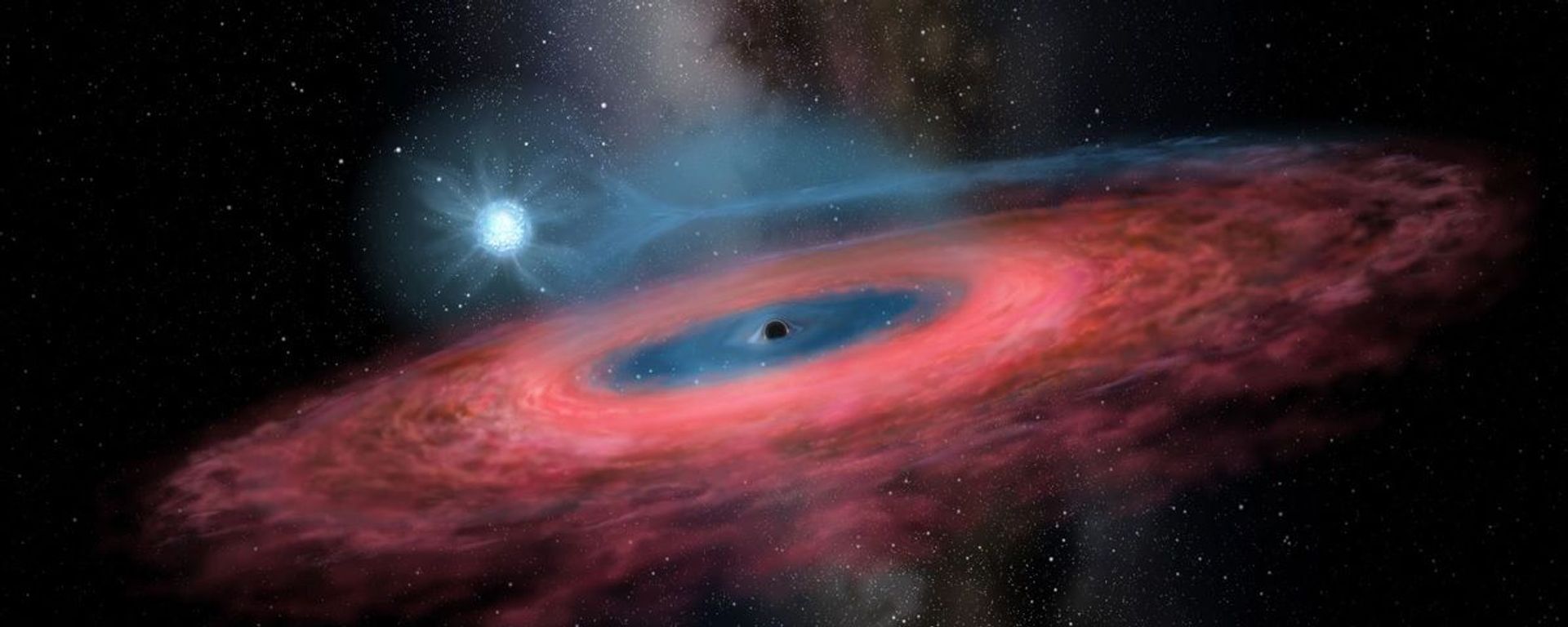 Figure LB-1: Accretion of gas onto a stellar black hole from its blue companion star, through a truncated accretion disk (Artist impression) Figure LB-1: Accretion of gas onto a stellar black hole from its blue companion star, through a truncated accretion disk (Artist impression) - Sputnik International, 1920, 15.09.2023