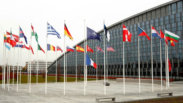 Flags of NATO member countries are seen at the Alliance headquarters in Brussels, Belgium, November 26, 2019. Flags of NATO member countries are seen at the Alliance headquarters in Brussels, Belgium, November 26, 2019. - Sputnik International