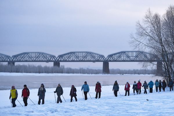 Women practising Nordic walking during free classes in Novosibirsk, Russia. Women practising Nordic walking during free classes in Novosibirsk, Russia. - Sputnik International