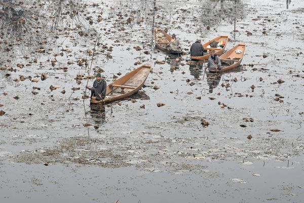 Men steer boats in Nigeen Lake during a cold day in Srinagar on 26 November 2019. Men steer boats in Nigeen Lake during a cold day in Srinagar on 26 November 2019. - Sputnik International