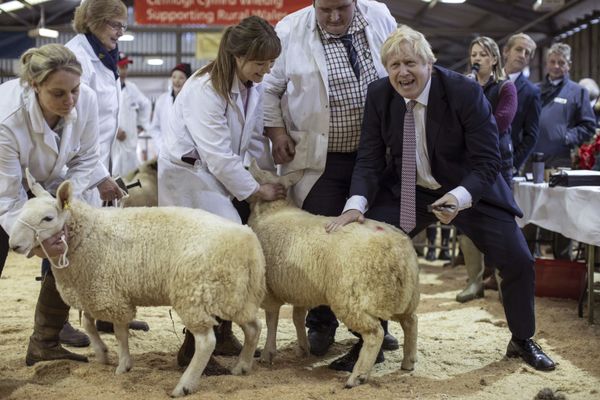Britain's Prime Minister Boris Johnson visits the Welsh County Show in Llanelwedd, Wales, on Monday, 25 November 2019. Britain's Prime Minister Boris Johnson visits the Welsh County Show in Llanelwedd, Wales, on Monday, 25 November 2019. - Sputnik International