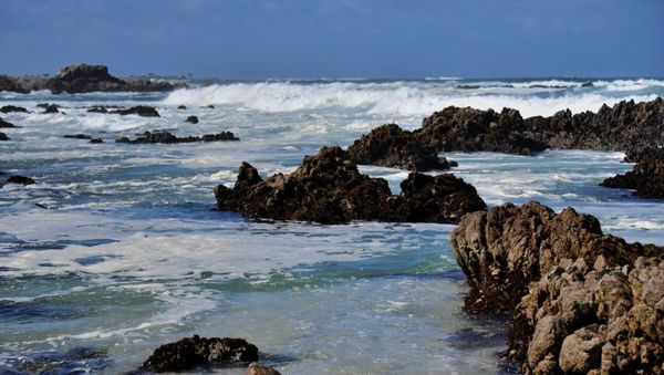 Monterey - Sputnik International