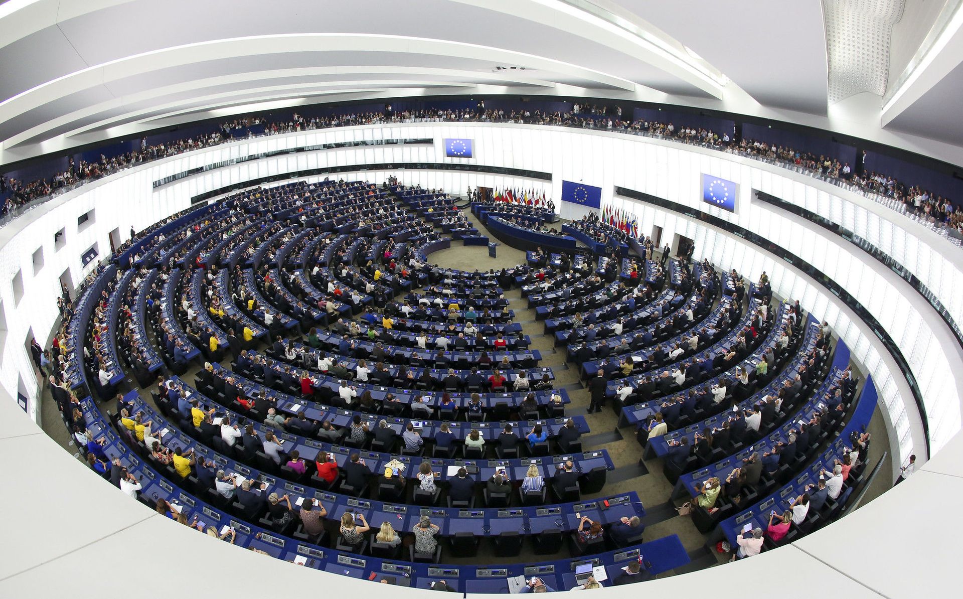 Bundestag MP Says Banning Nord Stream 2 Can Only Serve ‘Third Party' Seeking to 'Wreak Havoc' - Sputnik International, 1920, 30.04.2021