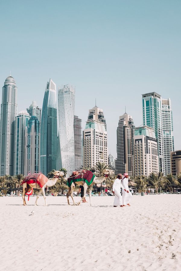 A view of Dubai, the United Arab Emirates. - Sputnik International