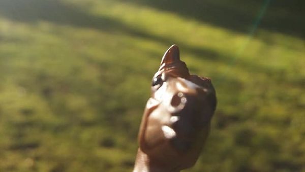 Horse - Sputnik International
