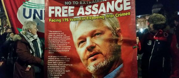 Two women came to anti NATO demo to denounce treatment of WikiLeaks founder Julian Assange Two women came to anti NATO demo to denounce treatment of WikiLeaks founder Julian Assange - Sputnik International