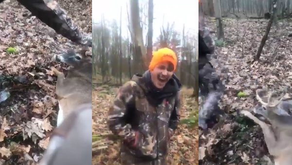 Deer seen tortured by two males in a social media video reportedly recorded in Pennsylvania  - Sputnik International