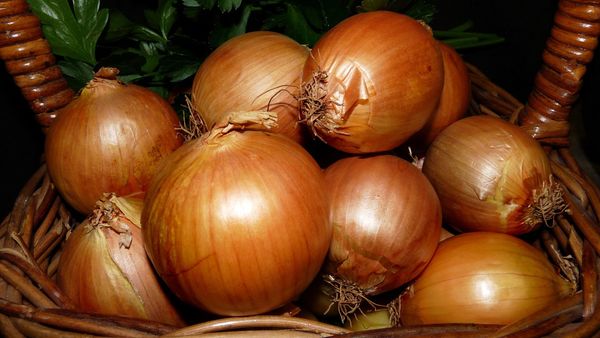 Onions  - Sputnik International
