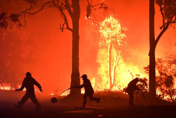 Rural Fire Service (RFS) volunteers and NSW Fire and Rescue officers fight a bushfire encroaching on properties near Termeil, Australia, December, 3, 2019. Rural Fire Service (RFS) volunteers and NSW Fire and Rescue officers fight a bushfire encroaching on properties near Termeil, Australia, December, 3, 2019. - Sputnik International