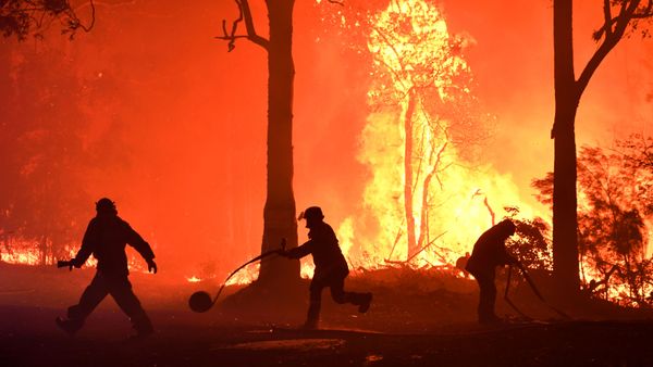 Rural Fire Service (RFS) volunteers and NSW Fire and Rescue officers fight a bushfire encroaching on properties near Termeil, Australia, December, 3, 2019.  - Sputnik International