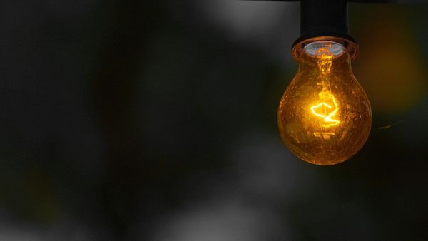 A bulb - Sputnik International
