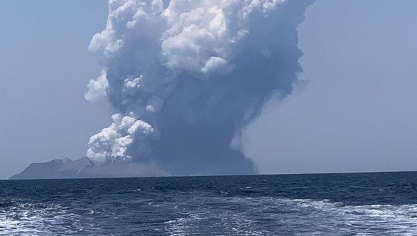 White Island volcano, New Zealand, 09.12.2019 - Sputnik International