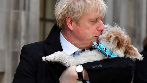 Britain's Prime Minister Boris Johnson kisses his dog Dilyn as he arrives at a polling station at the Methodist Central Hall to vote in the general election in London, Britain, December 12, 2019 - Sputnik International