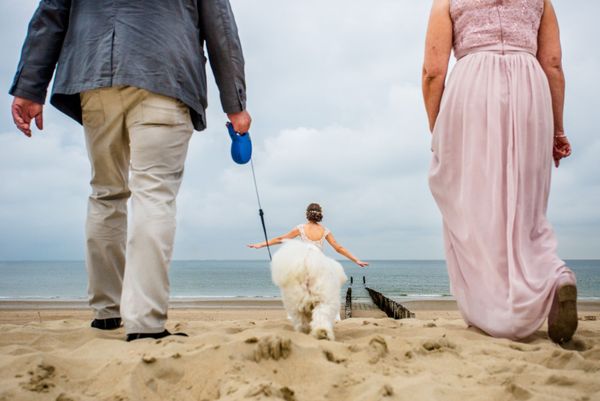 The winner in the Single Capture nomination at the International Wedding Photographer of the Year 2019 (German photographer Steven Herrschaft) The winner in the Single Capture nomination at the International Wedding Photographer of the Year 2019 (German photographer Steven Herrschaft) - Sputnik International