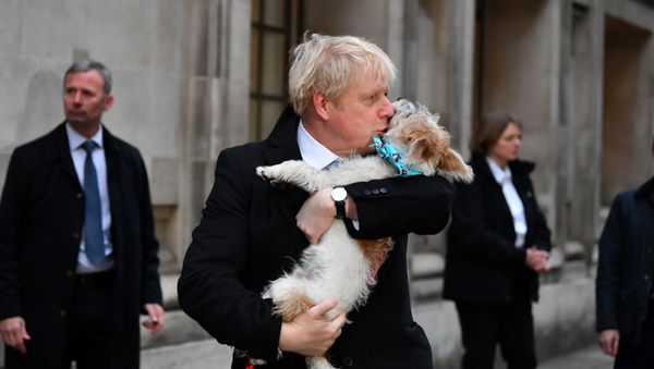 Britain's Prime Minister Boris Johnson holds his dog Dilyn as leaves a polling station, at the Methodist Central Hall, after voting in the general election in London, Britain Britain's Prime Minister Boris Johnson holds his dog Dilyn as leaves a polling station, at the Methodist Central Hall, after voting in the general election in London, Britain - Sputnik International