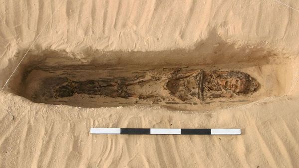 Scientists Still at Odds Over Ancient Head Cones After Discovery of Two Artefacts in Egyptian Grave Scientists Still at Odds Over Ancient Head Cones After Discovery of Two Artefacts in Egyptian Grave - Sputnik International