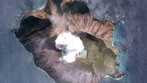 A satellite imagery of the White Island volcano, also known as Whakaari, taken on December 11, 2019 following its eruption in New Zealand - Sputnik International