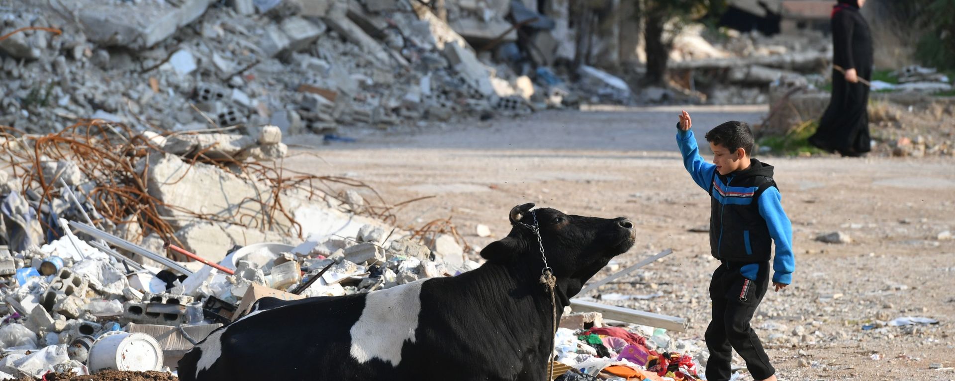 A boy feeds a cow in the Harasta district, northeast of Damascus, Syria A boy feeds a cow in the Harasta district, northeast of Damascus, Syria - Sputnik International, 1920, 21.09.2022