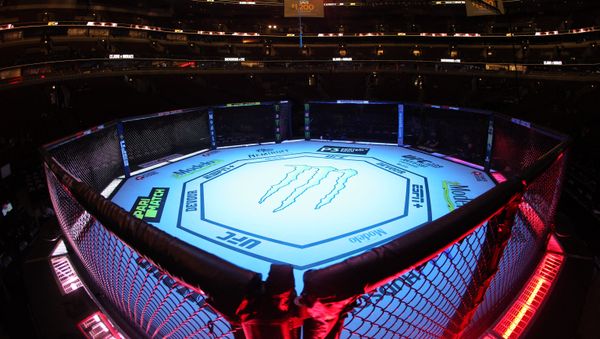 General view of the UFC 238 octagon - Sputnik International