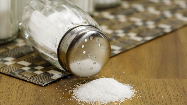 Salt  - Sputnik International