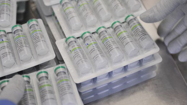 Finished product at the packaging line, insulin production unit of Medsintez plant in Novouralsk, Sverdlovsk Region - Sputnik International