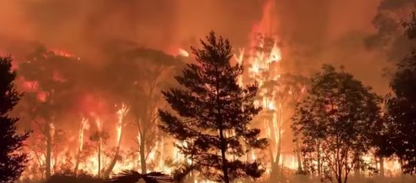 A fire blazes across bush as seen from Mount Tomah in New South Wales A fire blazes across bush as seen from Mount Tomah in New South Wales - Sputnik International