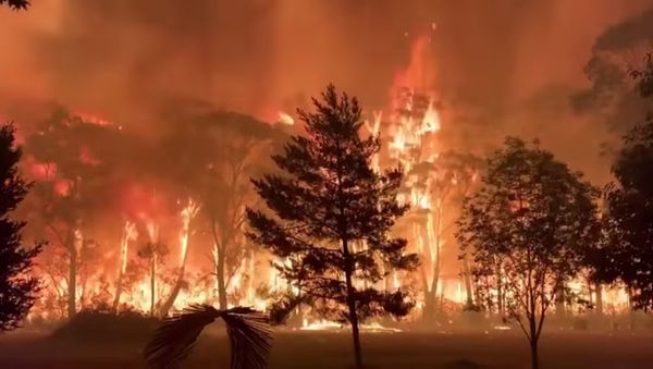 A fire blazes across bush as seen from Mount Tomah in New South Wales - Sputnik International