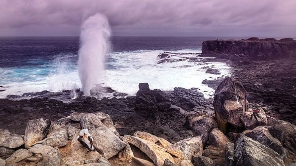 Galapagos Islands - Sputnik International