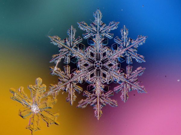 Astonishing Ice: Close-Up Photos Show the Amazing Beauty of Snowflakes Astonishing Ice: Close-Up Photos Show the Amazing Beauty of Snowflakes - Sputnik International