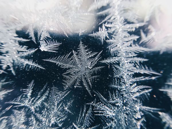 Astonishing Ice: Close-Up Photos Show the Amazing Beauty of Snowflakes Astonishing Ice: Close-Up Photos Show the Amazing Beauty of Snowflakes - Sputnik International