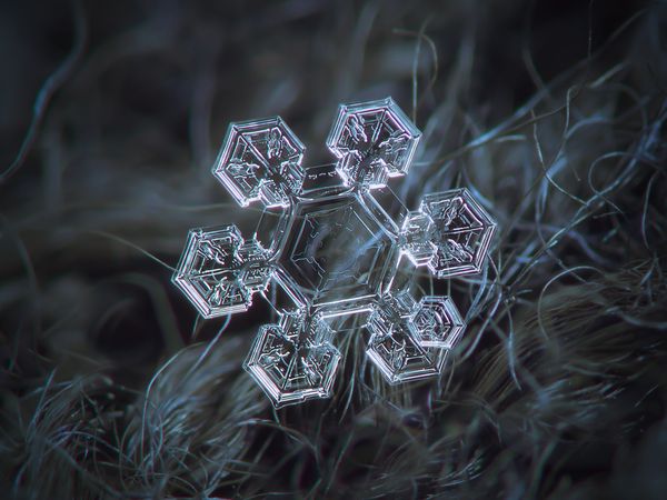 Astonishing Ice: Close-Up Photos Show the Amazing Beauty of Snowflakes Astonishing Ice: Close-Up Photos Show the Amazing Beauty of Snowflakes - Sputnik International