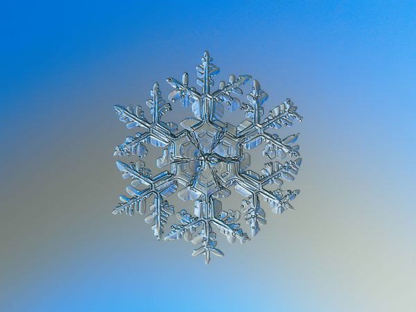 Astonishing Ice: Close-Up Photos Show the Amazing Beauty of Snowflakes Astonishing Ice: Close-Up Photos Show the Amazing Beauty of Snowflakes - Sputnik International