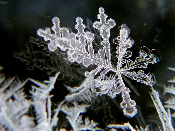 Astonishing Ice: Close-Up Photos Show the Amazing Beauty of Snowflakes Astonishing Ice: Close-Up Photos Show the Amazing Beauty of Snowflakes - Sputnik International