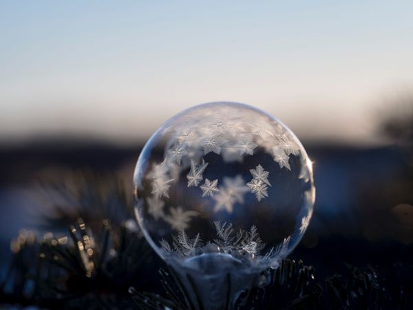 Astonishing Ice: Close-Up Photos Show the Amazing Beauty of Snowflakes Astonishing Ice: Close-Up Photos Show the Amazing Beauty of Snowflakes - Sputnik International