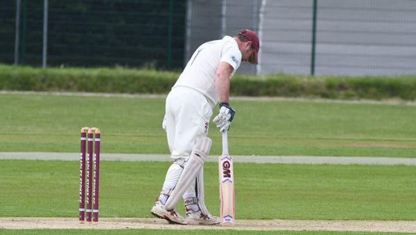 Cricket  - Sputnik International