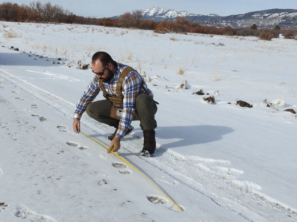 Spaniard Who Fights to Protect Sacred Apache Reservation in New Mexico Spaniard Who Fights to Protect Sacred Apache Reservation in New Mexico - Sputnik International