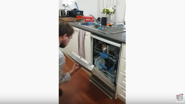 Hiss-Mass Eve: Venomous Snake Discovered in Aussie Dishwasher  - Sputnik International