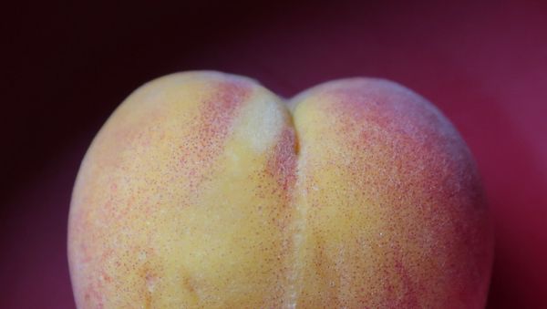 Peach - Sputnik International