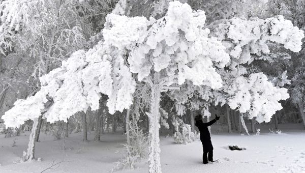 Russian Frost and Snowy Fairy Tales on the Yenisei River in Siberia - Sputnik International
