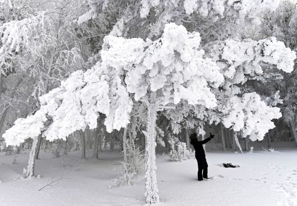 Russian Frost and Snowy Fairy Tales on the Yenisei River in Siberia - Sputnik International