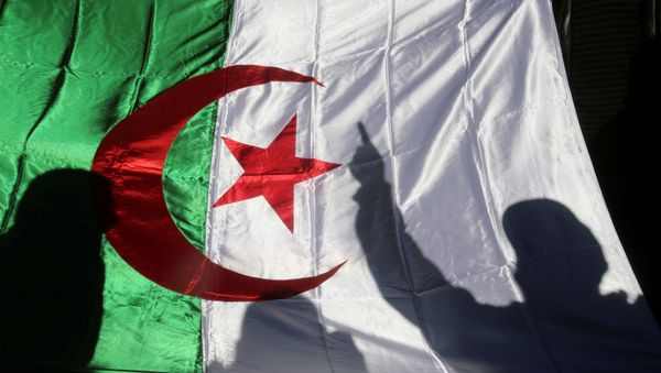 A demonstrator's shadow is cast on a national flag during an anti-government rally in Algiers, Algeria December 24, 2019.  - Sputnik International