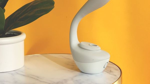 Lora Dicarlo Sex Toy - Sputnik International