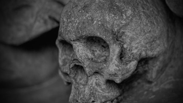 Skull. - Sputnik International