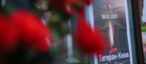 A memorial poster showing Ukrainian Boeing 737-800 plane that crashed outside Tehran, Iran - Sputnik International