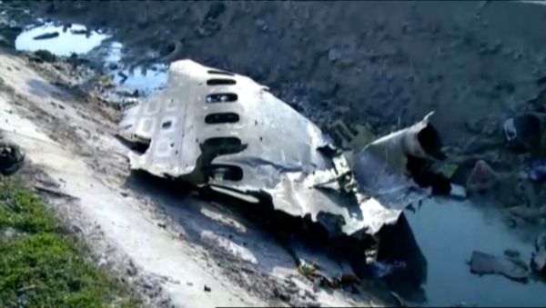 Part of the wreckage from Ukraine International Airlines flight PS752, a Boeing 737-800 plane that crashed after taking off from Tehran's Imam Khomeini airport on January 8, 2020 - Sputnik International