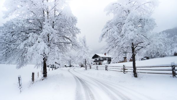 A winter landscape in Bavaria A winter landscape in Bavaria - Sputnik International