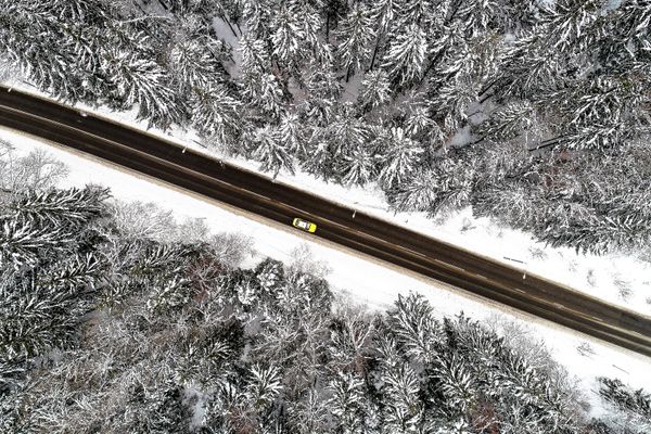 A car passes through a forest in the Troitsk administrative district of Moscow A car passes through a forest in the Troitsk administrative district of Moscow - Sputnik International